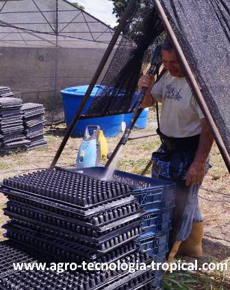 Es conveniente limpiar bien las bandejas antes de usarlas de nuevo
